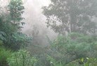 Magituplandscaping-irrigation-4.jpg; ?>